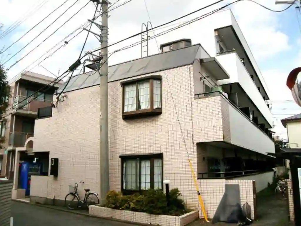 アカシアの木 外観