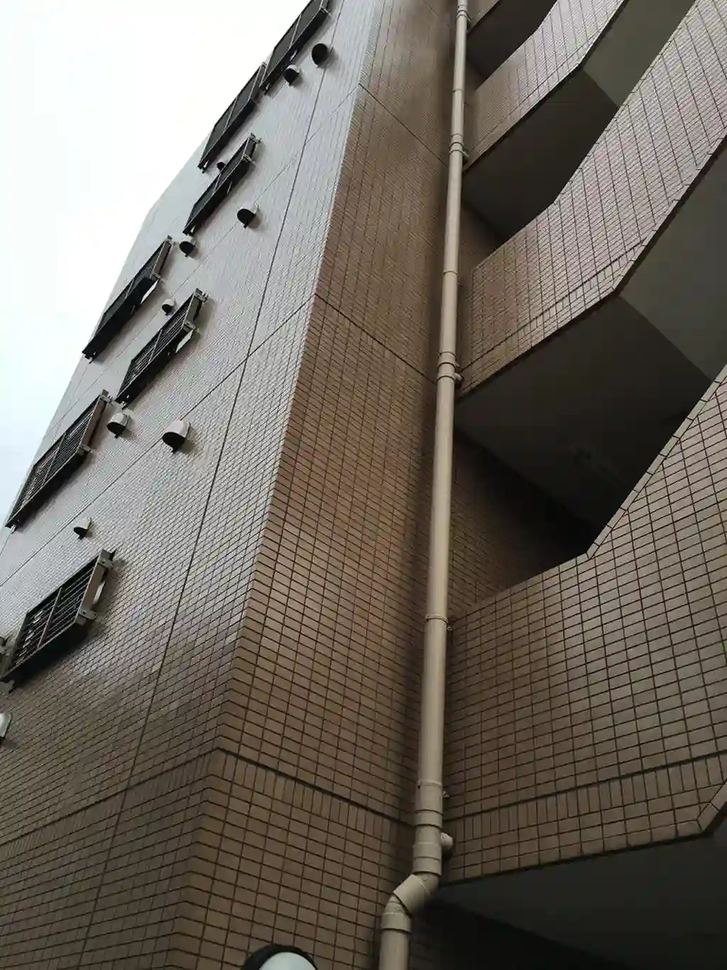 ラカーサモモイ 外観