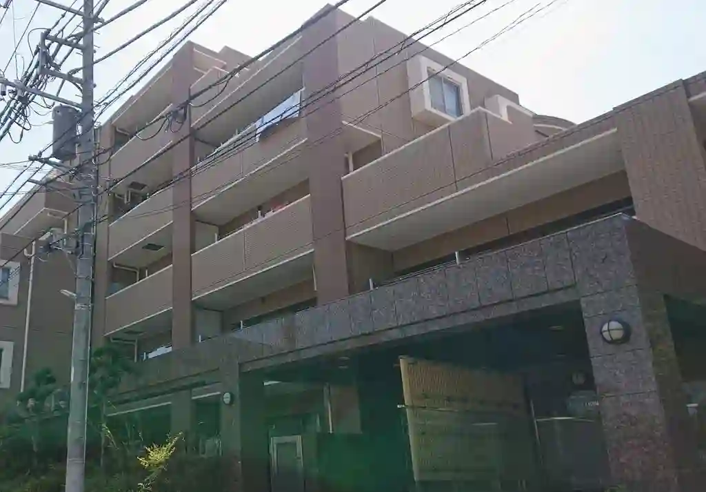 レーベンリヴァーレ新江古田 外観