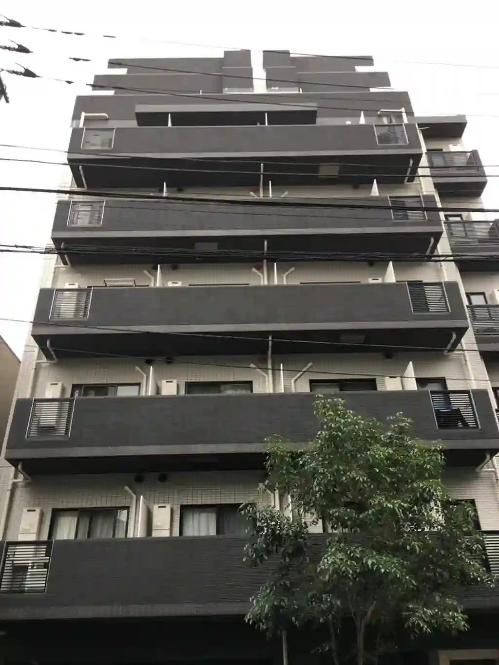 Genoviaotsukagreenveil 外観
