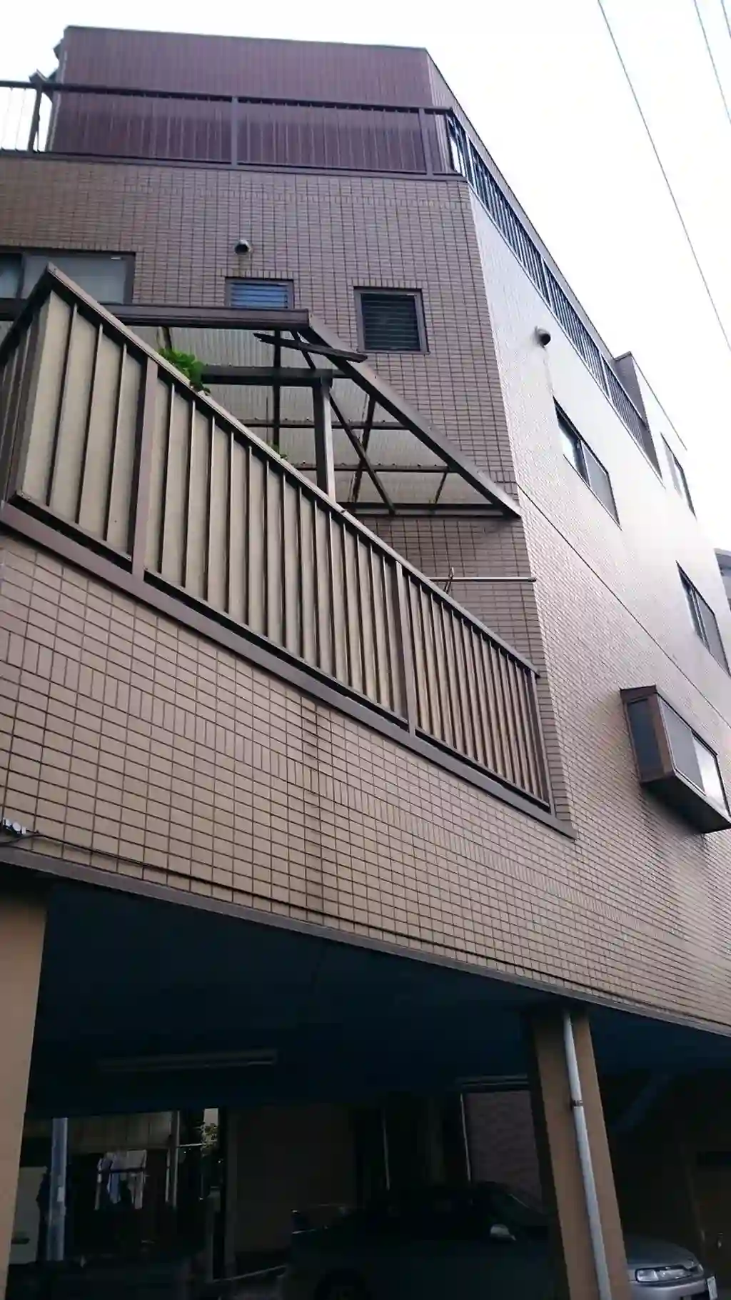 セシュー85 外観