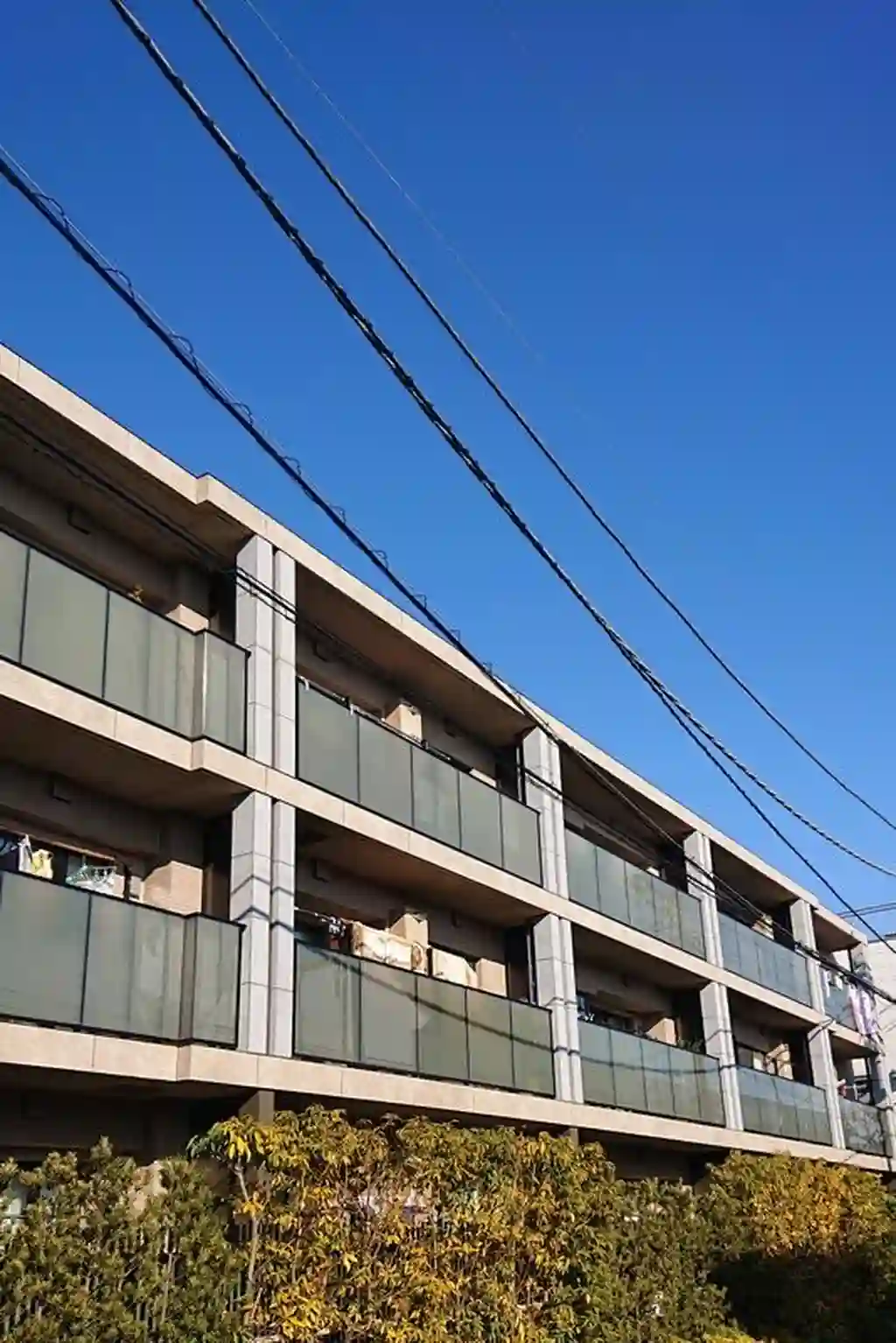 オープンレジデンシア目白御留山 外観