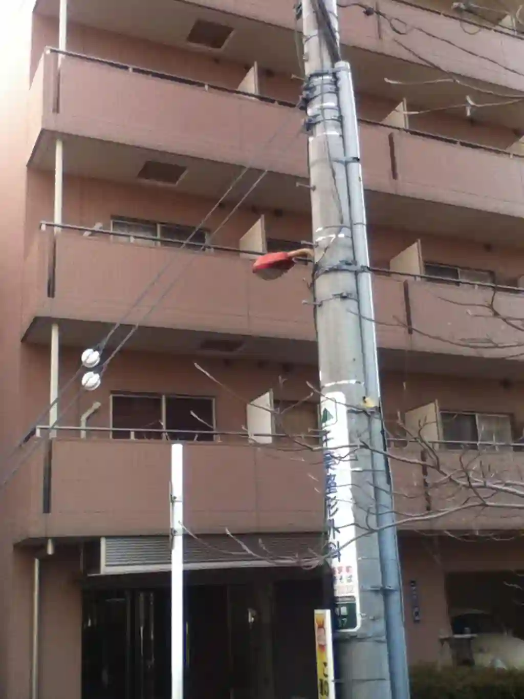 アイル東京向島 外観