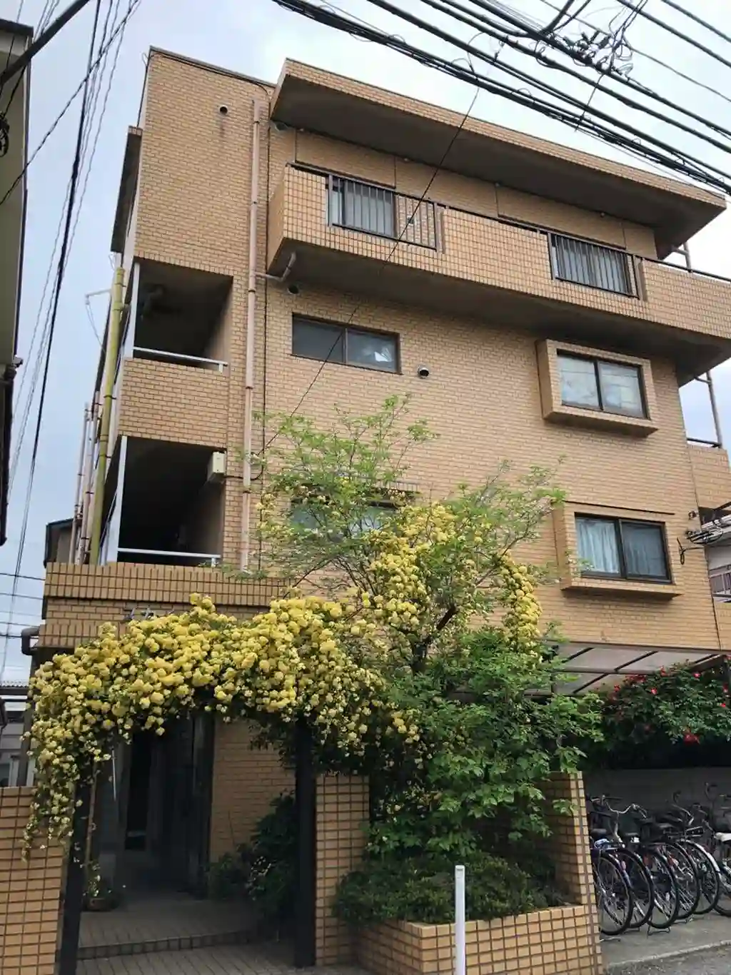 スカイビーム 外観