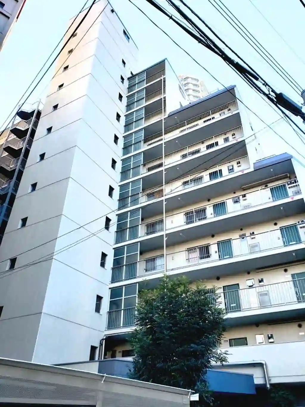 ハイネス川口 外観