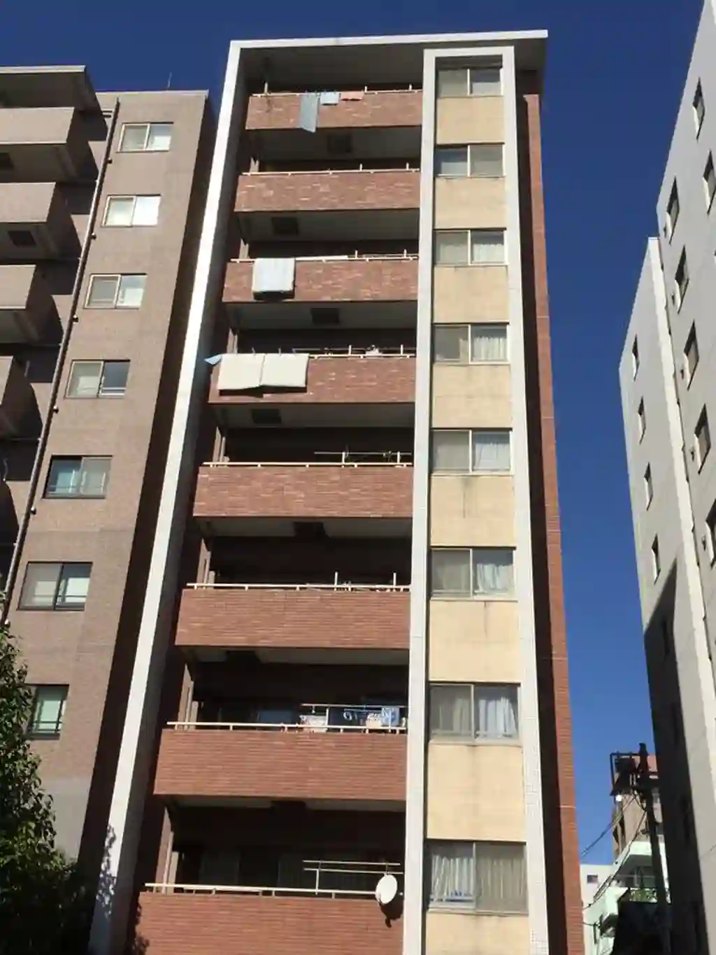 アスコットパーク錦糸町Grace 外観