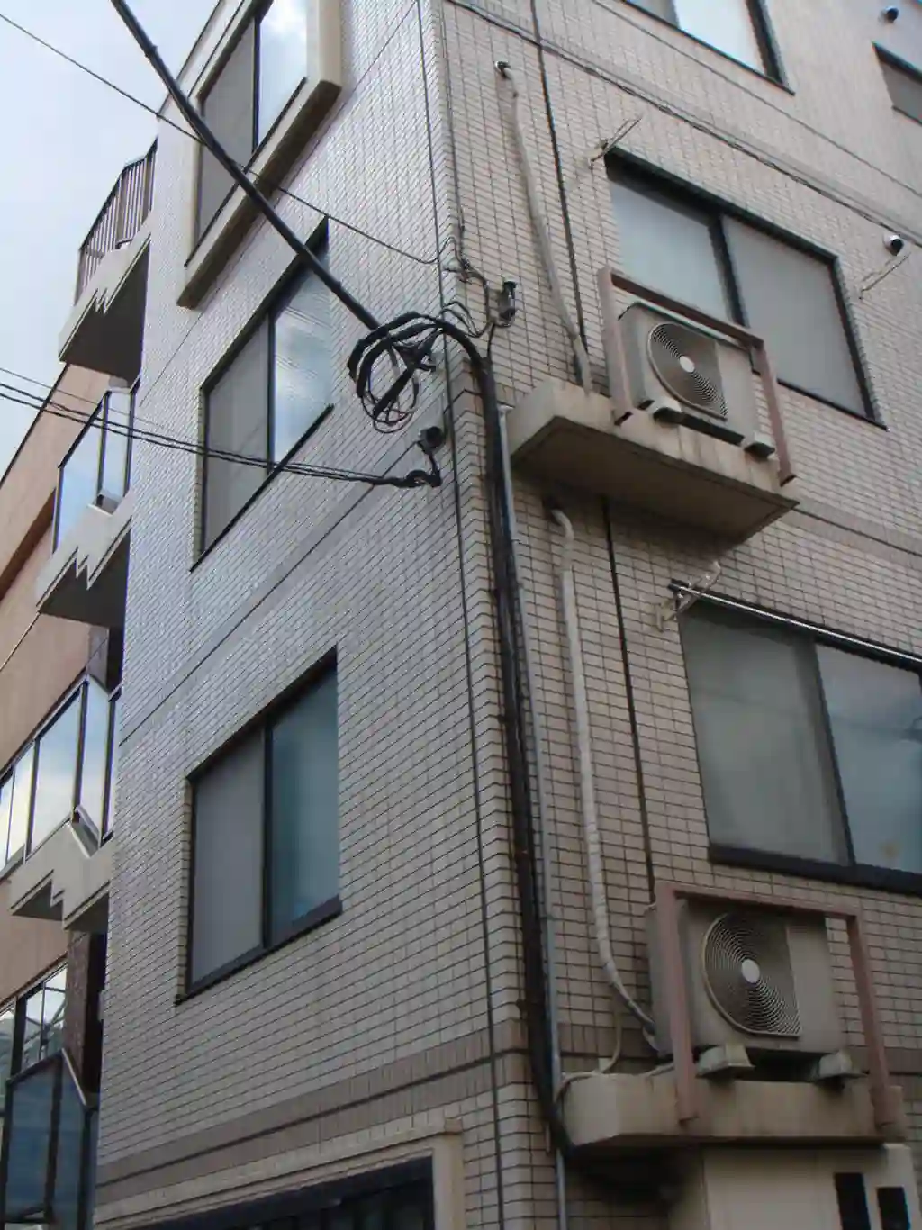 カナリーグラス 外観