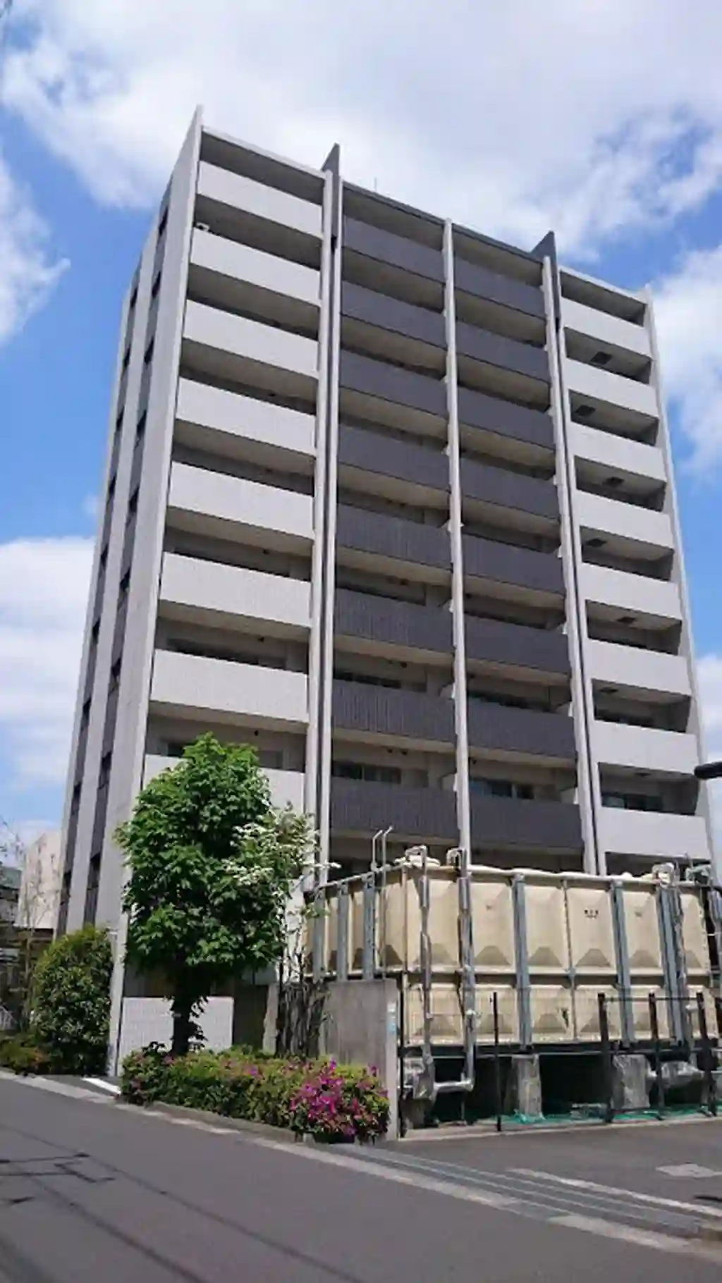 YSD 外観