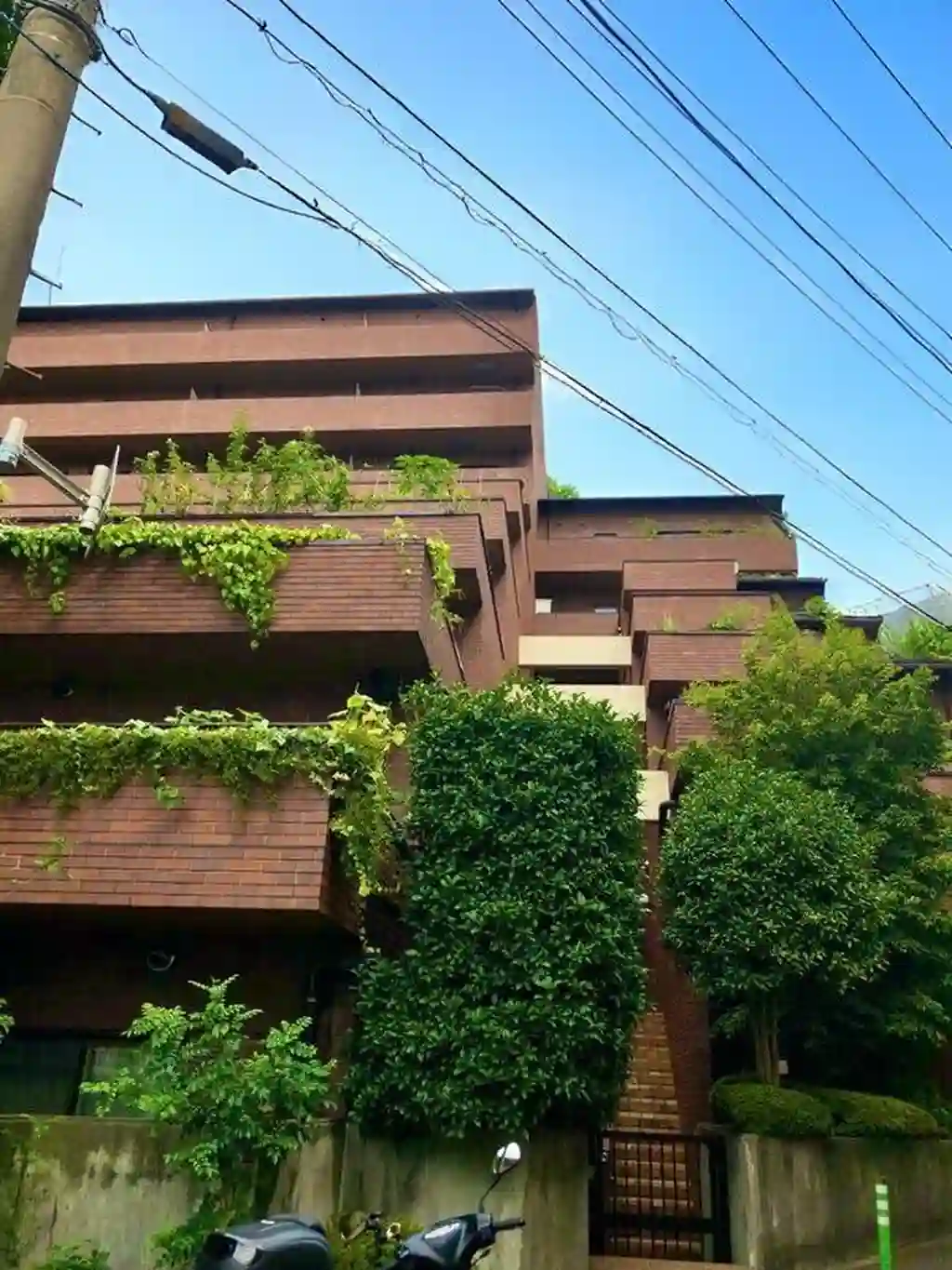 大森山王館八景園 外観