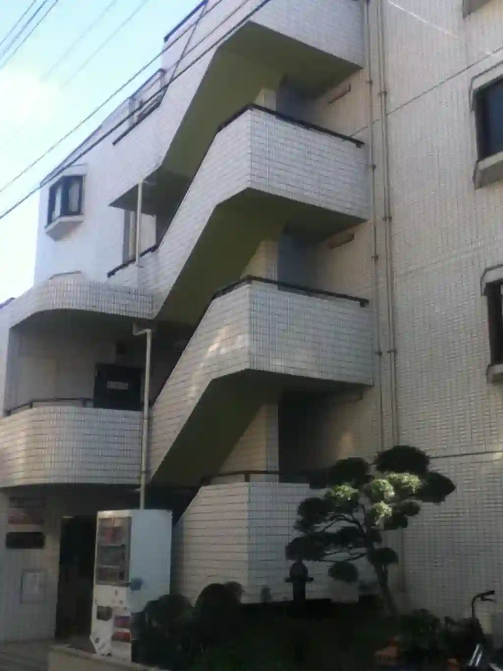 スカイコート向島2 外観