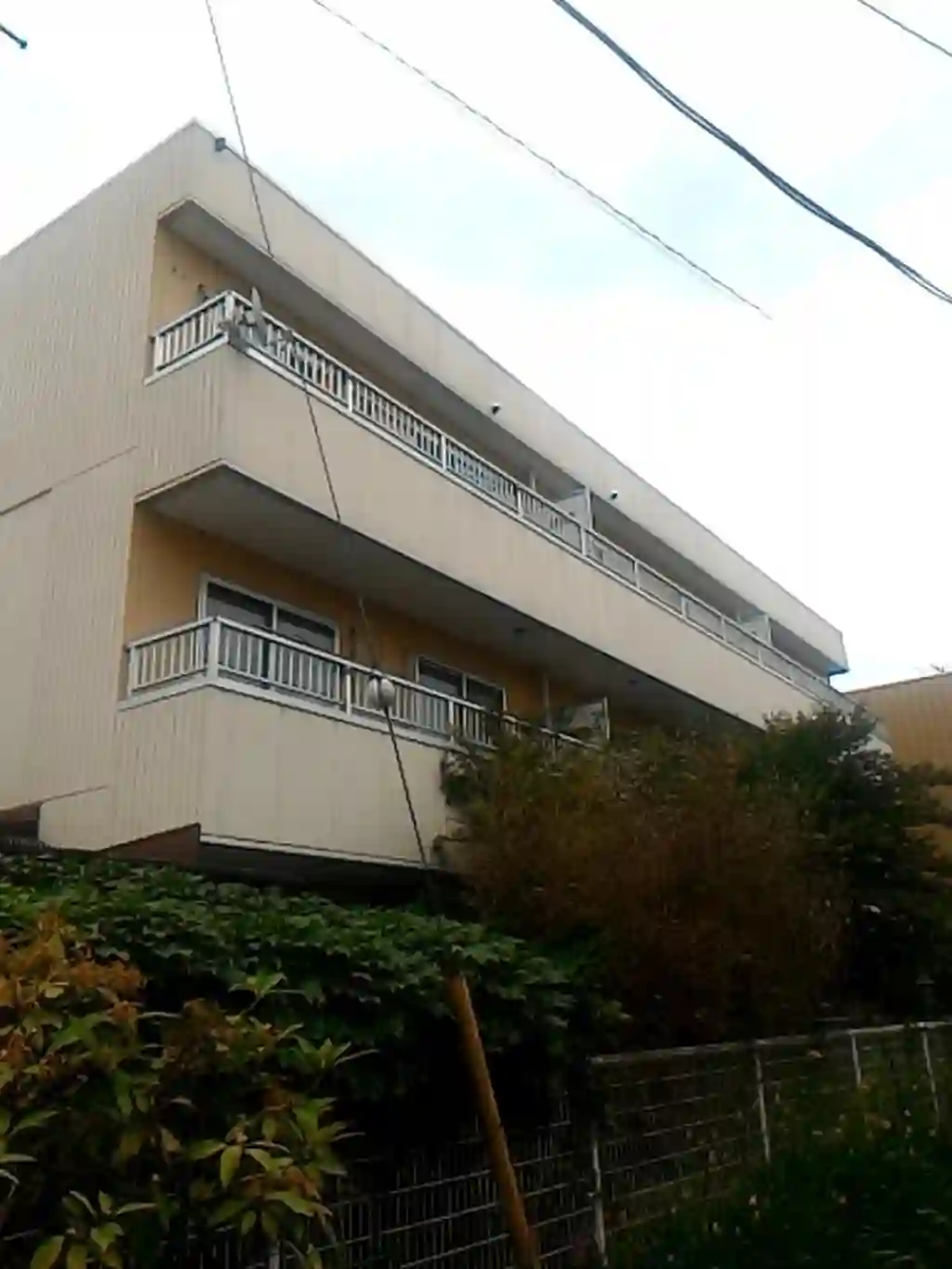 知野ハイツ 外観