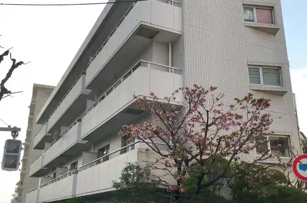 アールスコート田園調布 外観