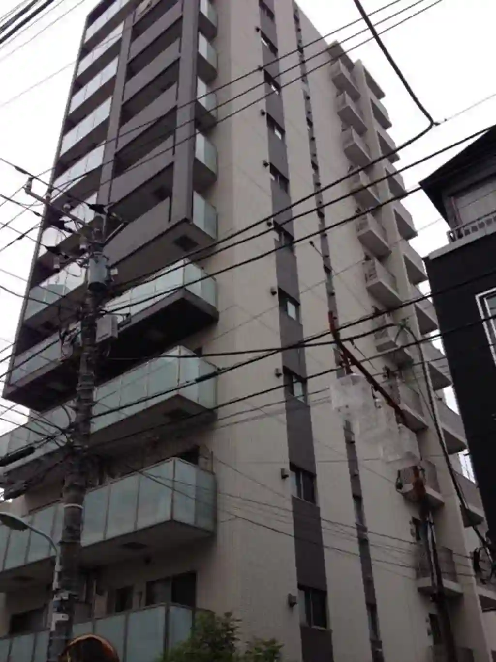 リビオレゾン白金 外観