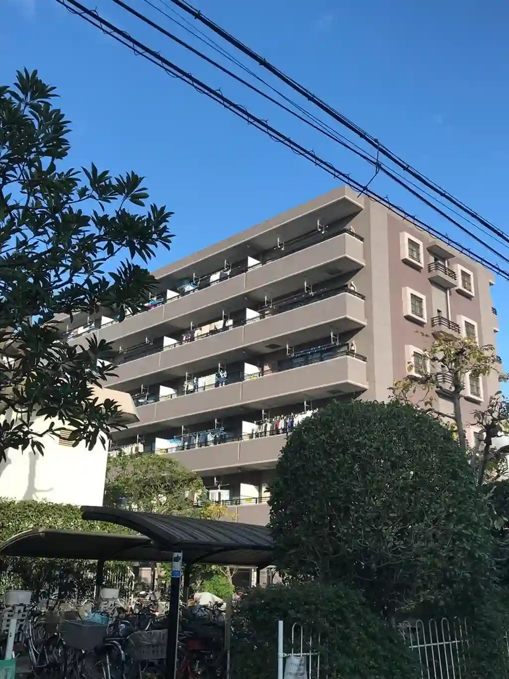 エバーグリーンコート 外観