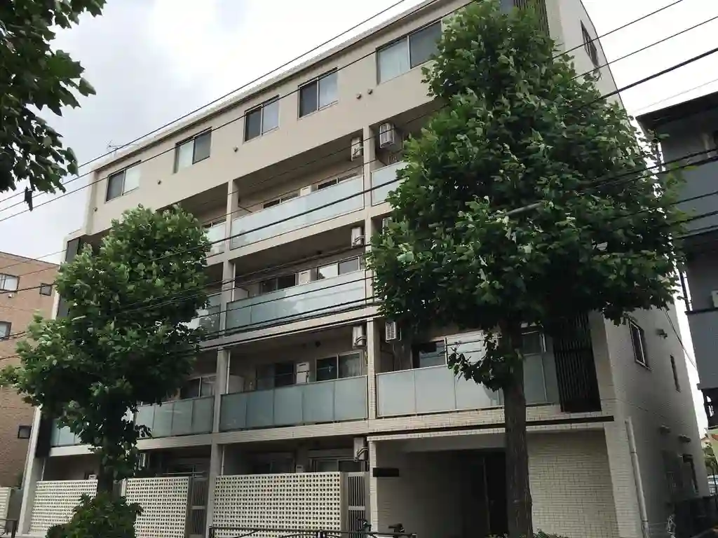 casa perrito blanco 外観