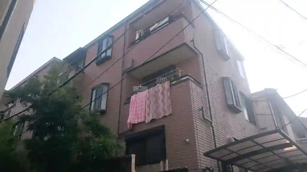 サバイディ 外観
