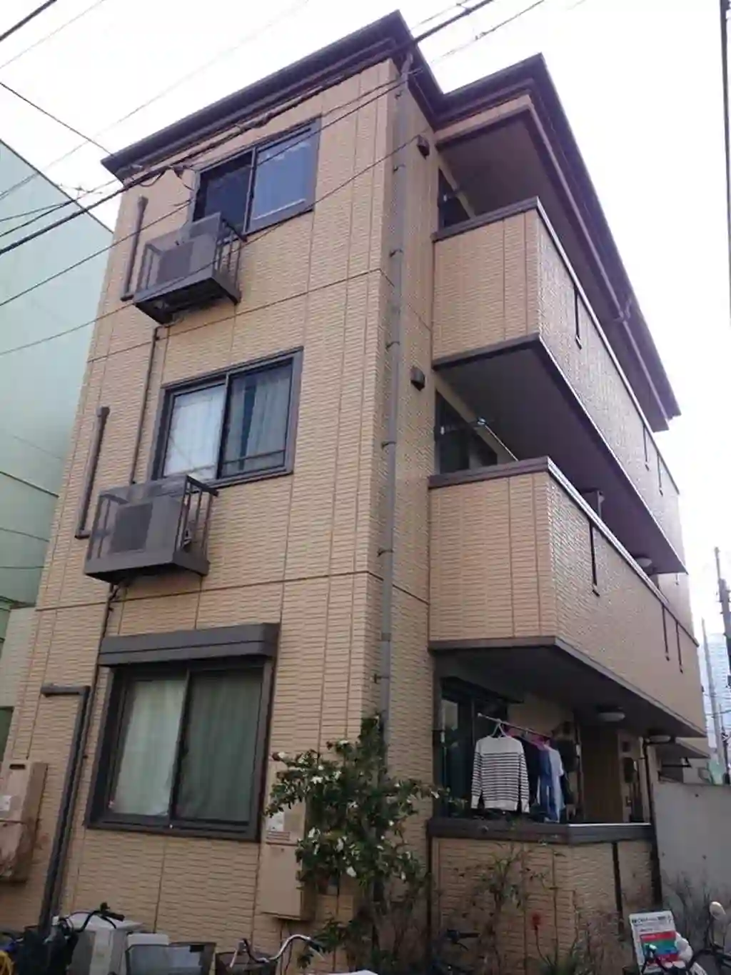 ライフル・レオ 外観