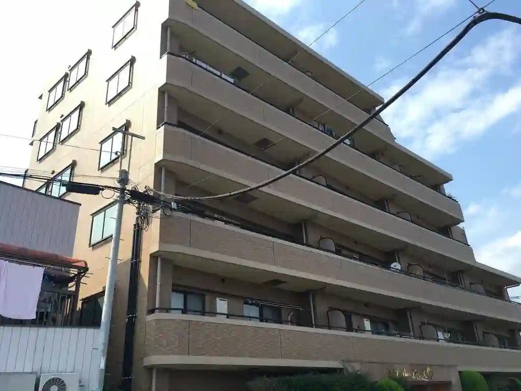 セザール川口元郷 外観