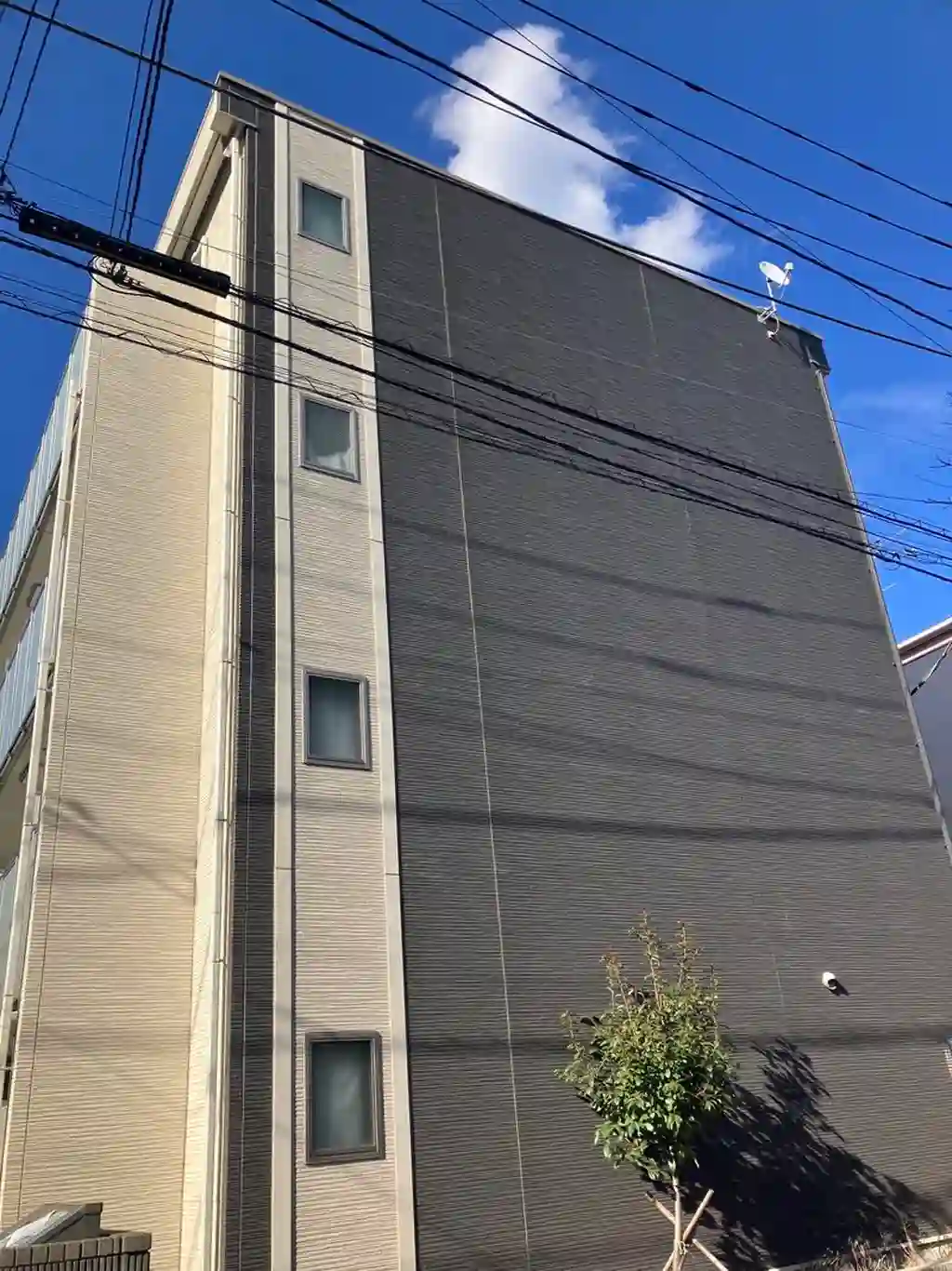 レオネクストカサフェリス 外観