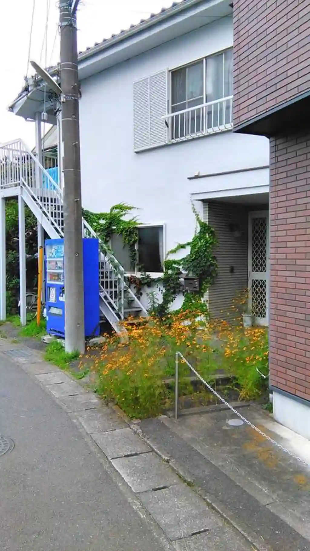 関山荘 外観