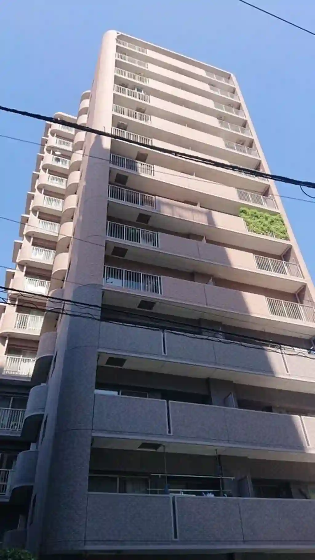 クレアシティ入谷 外観