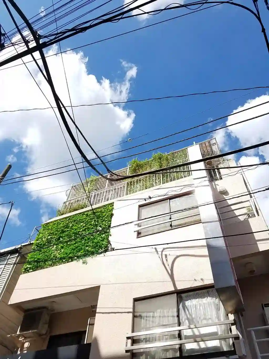 鎌田ビル 外観