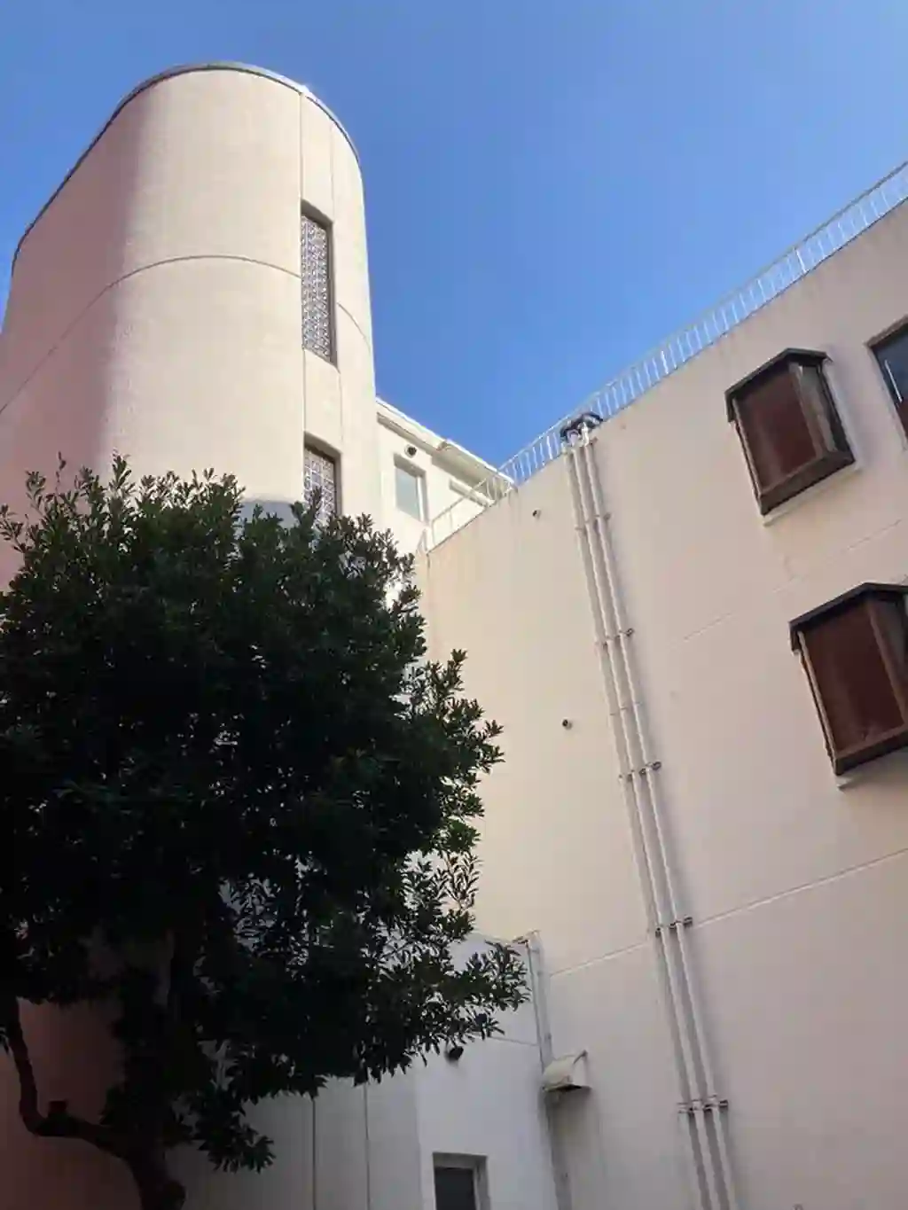 イワオアネックス 外観