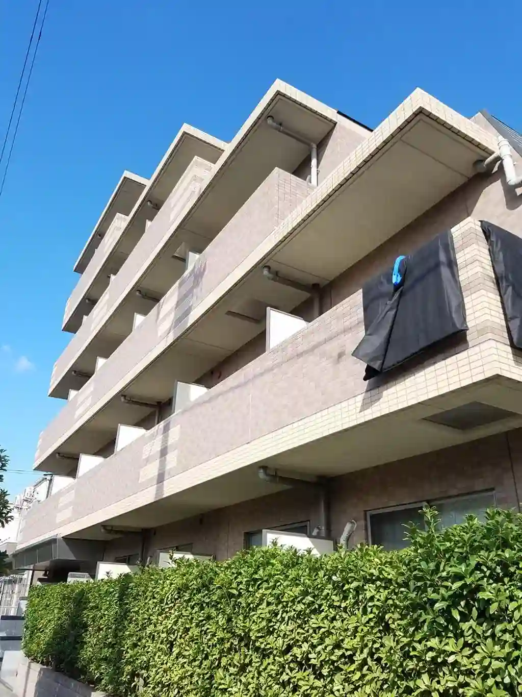 コンフォリア・リヴ市川妙典 外観