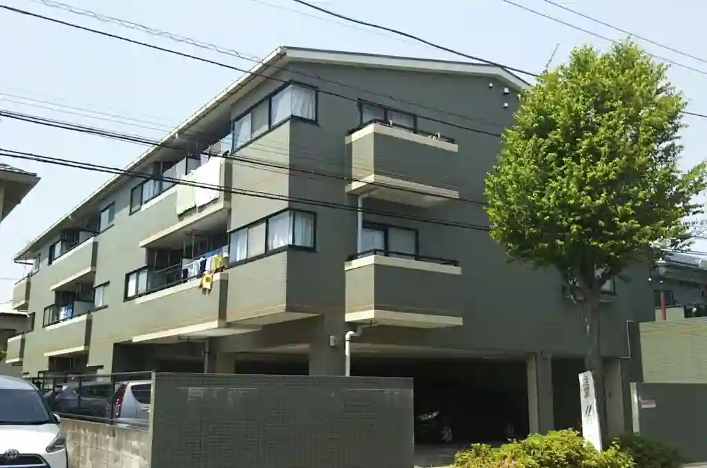アローカリア 外観