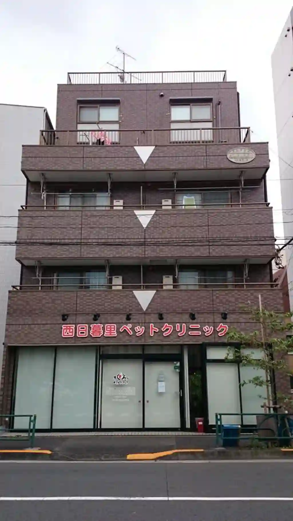 アルビレオ 外観
