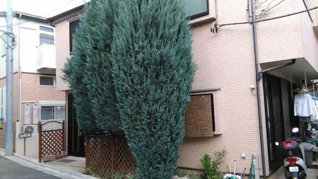 トトロの森II 外観