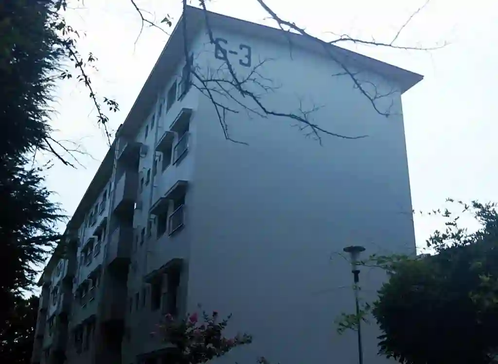 西三田団地6-3号棟 外観