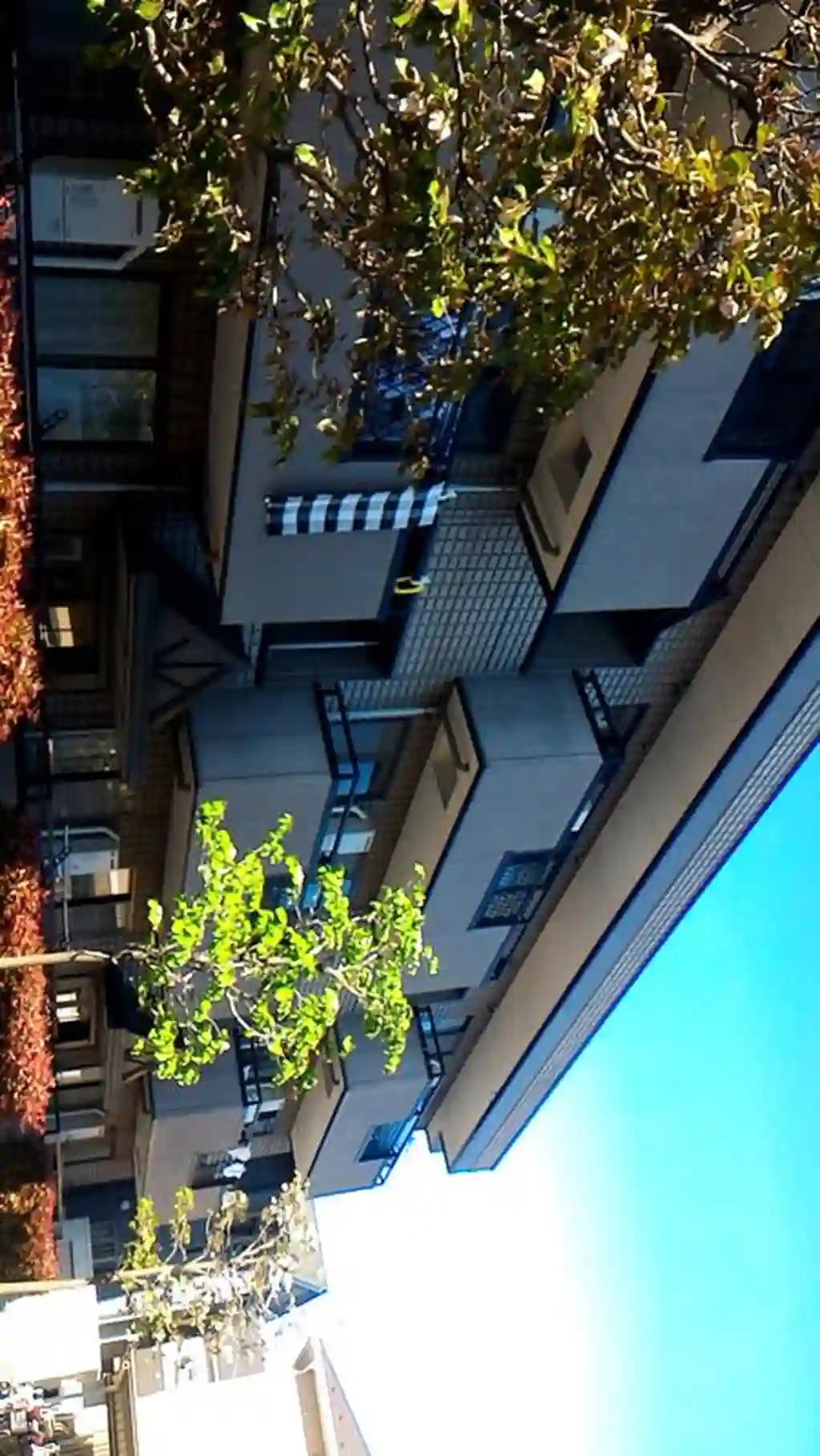 COURT-YARD三橋公園C 外観
