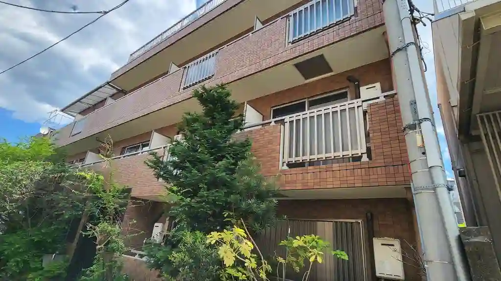 Anmutカミイケダイ 外観