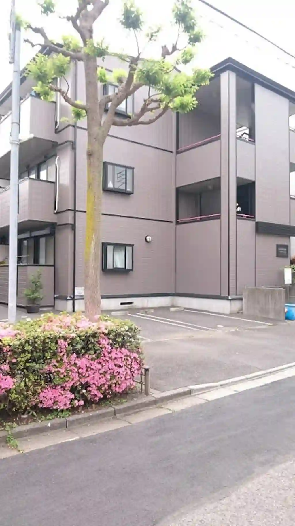 ARCADIA GSII 外観