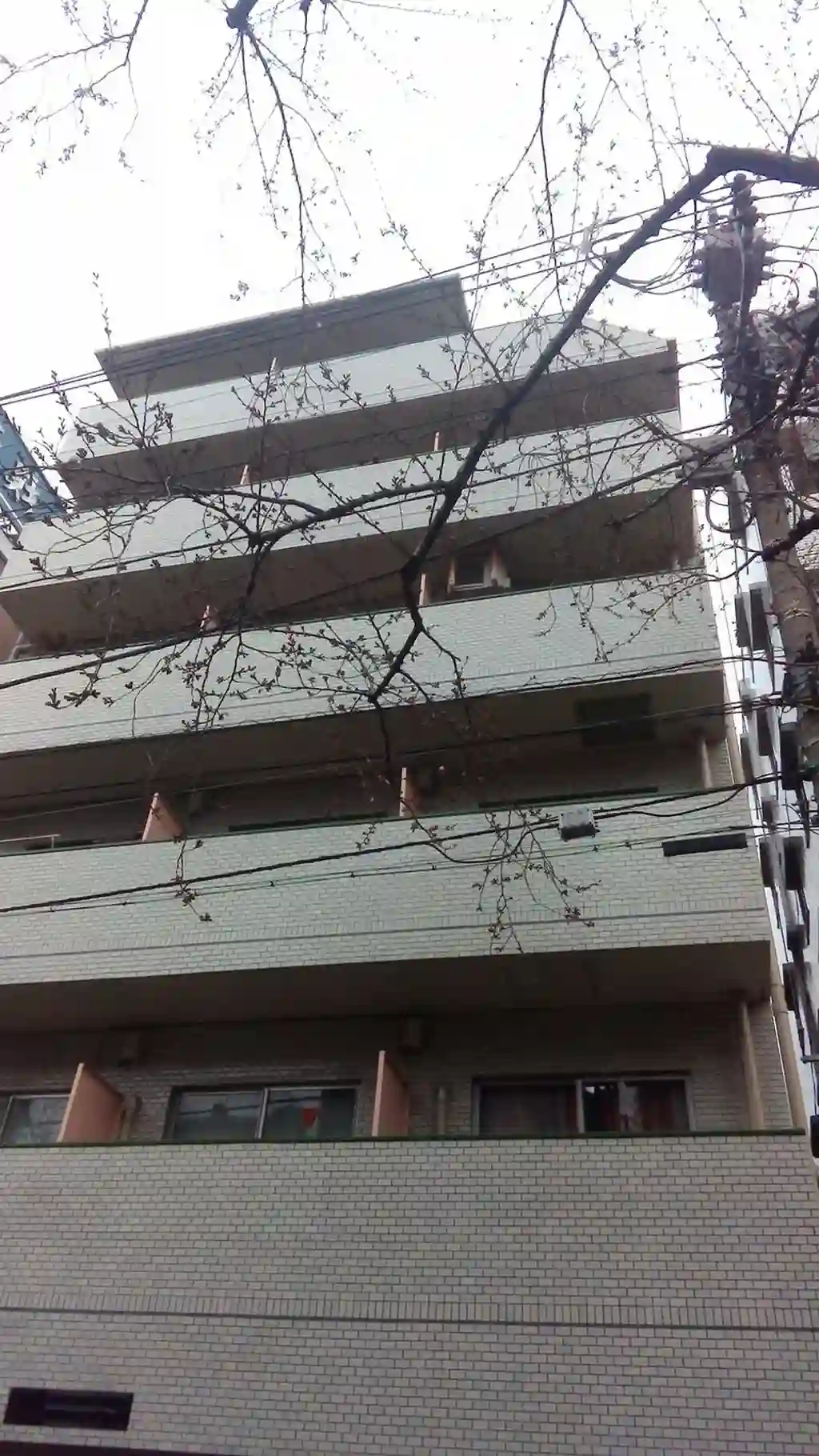 エージェックス中村橋 外観