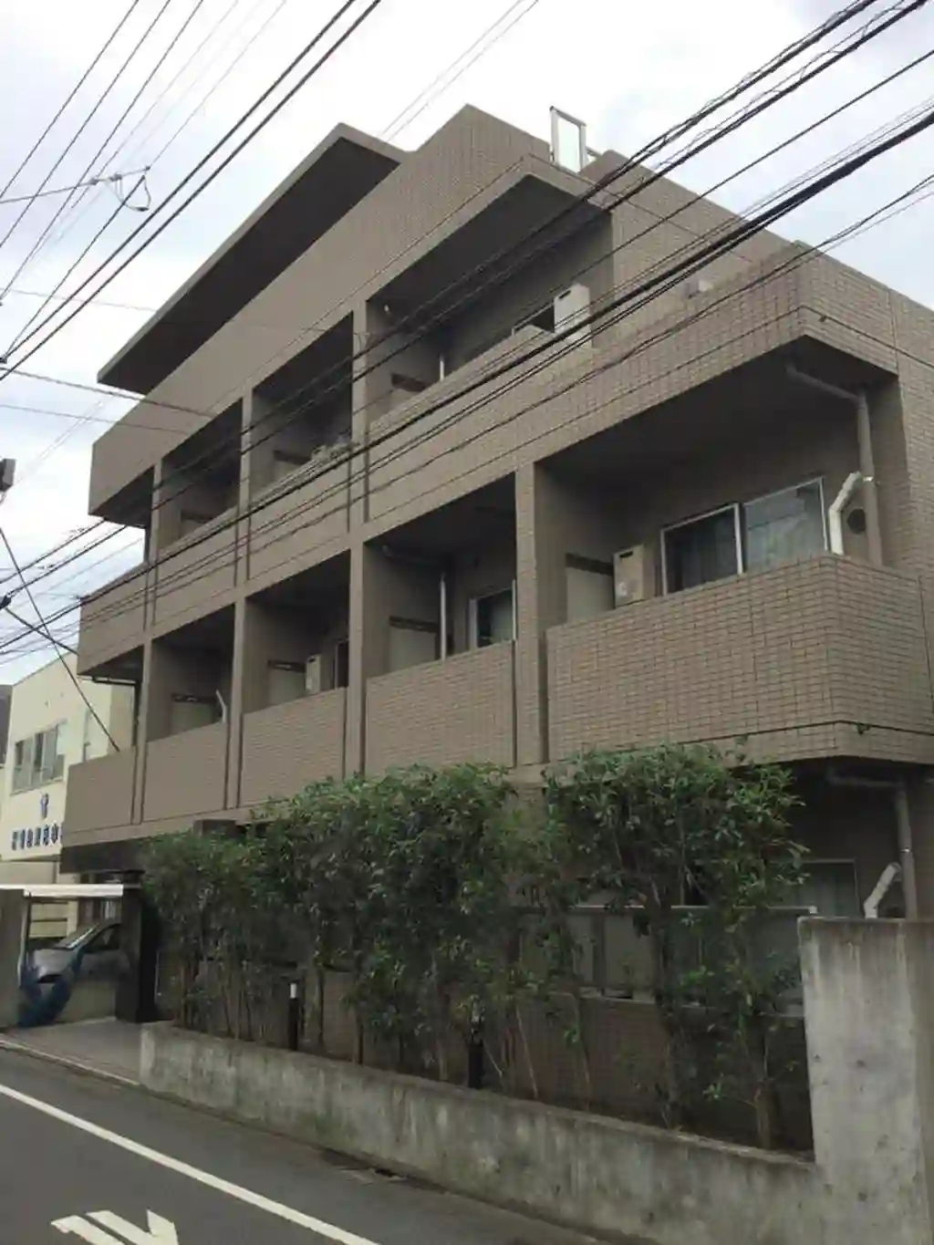 prosperare 外観