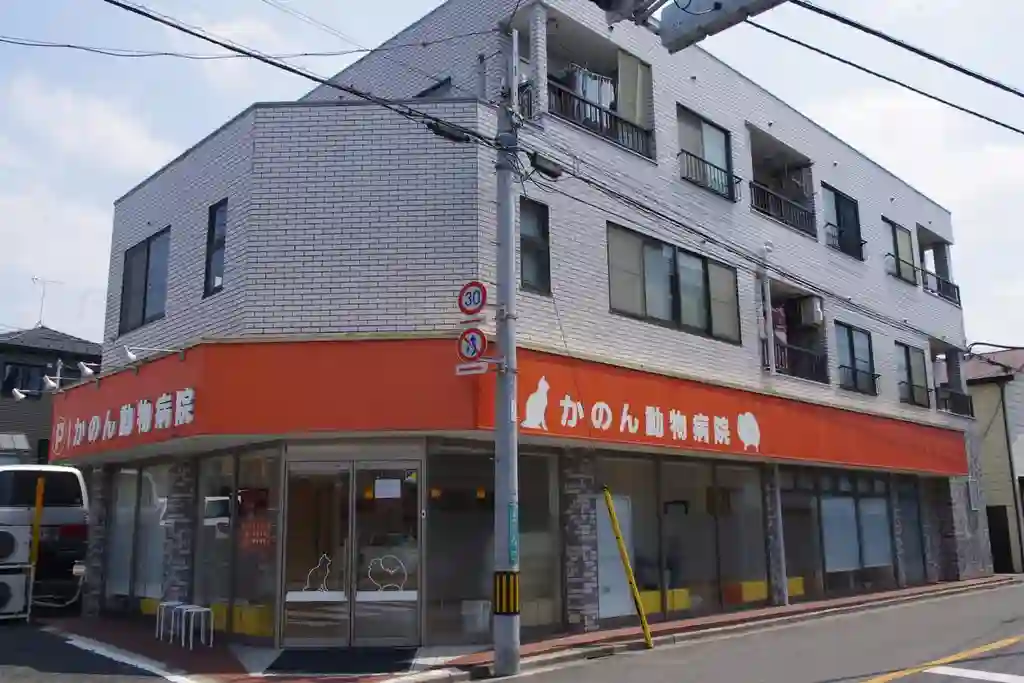 レジデンス与野 外観