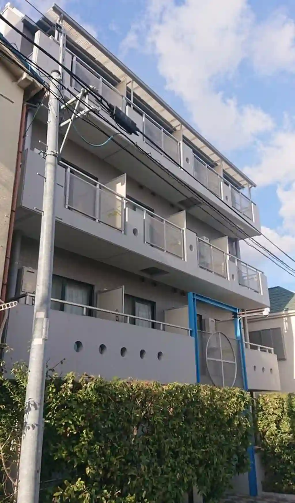 ほうれんそう 外観
