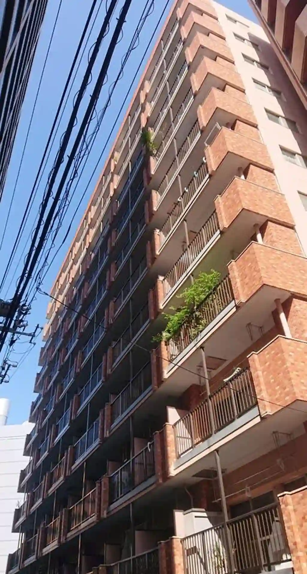 セザール五反田 外観