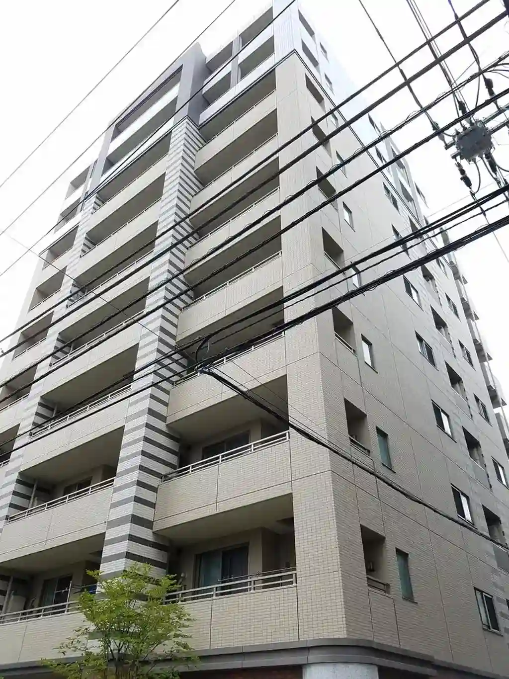 セルアージュ横浜阪東橋アヴニール 外観