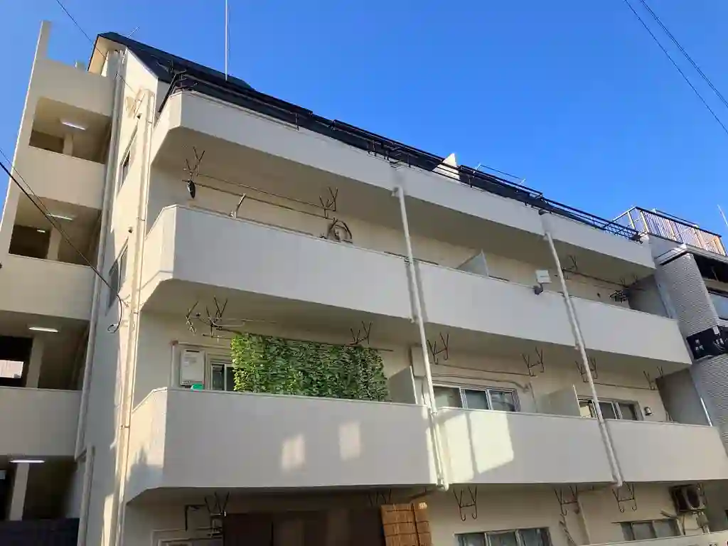 エルビラ 外観