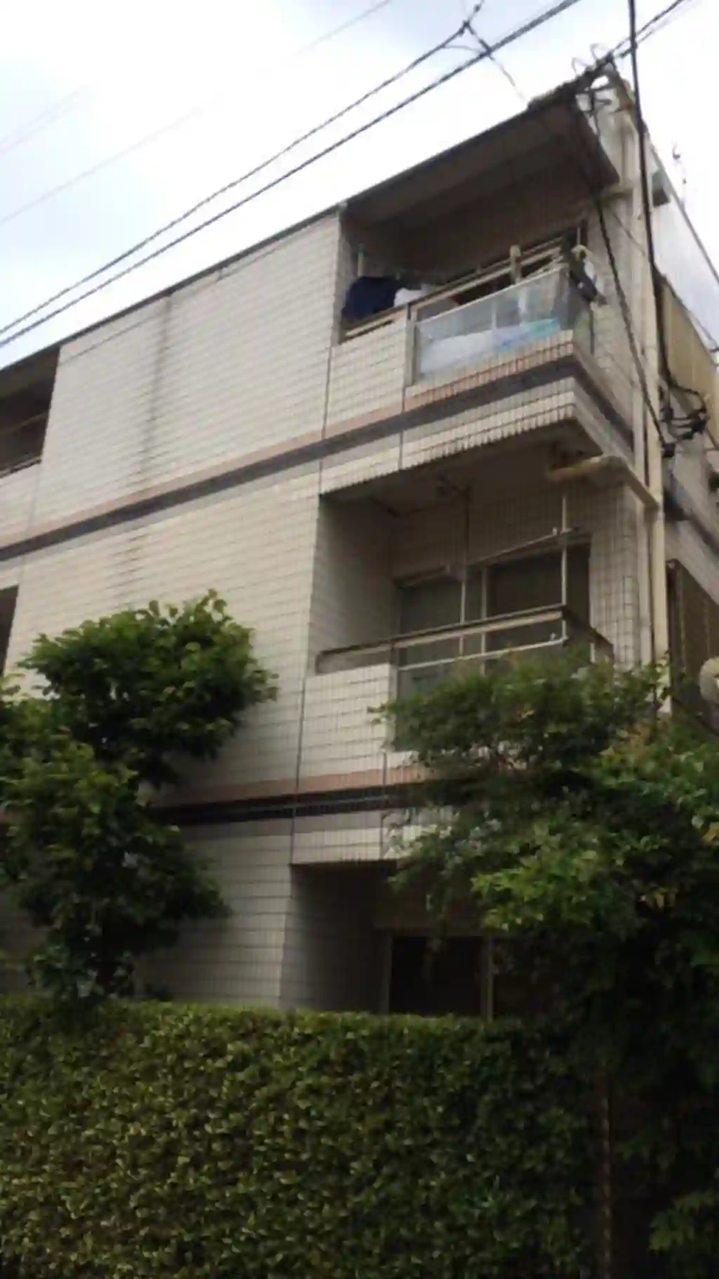 ミドルハイツ 外観