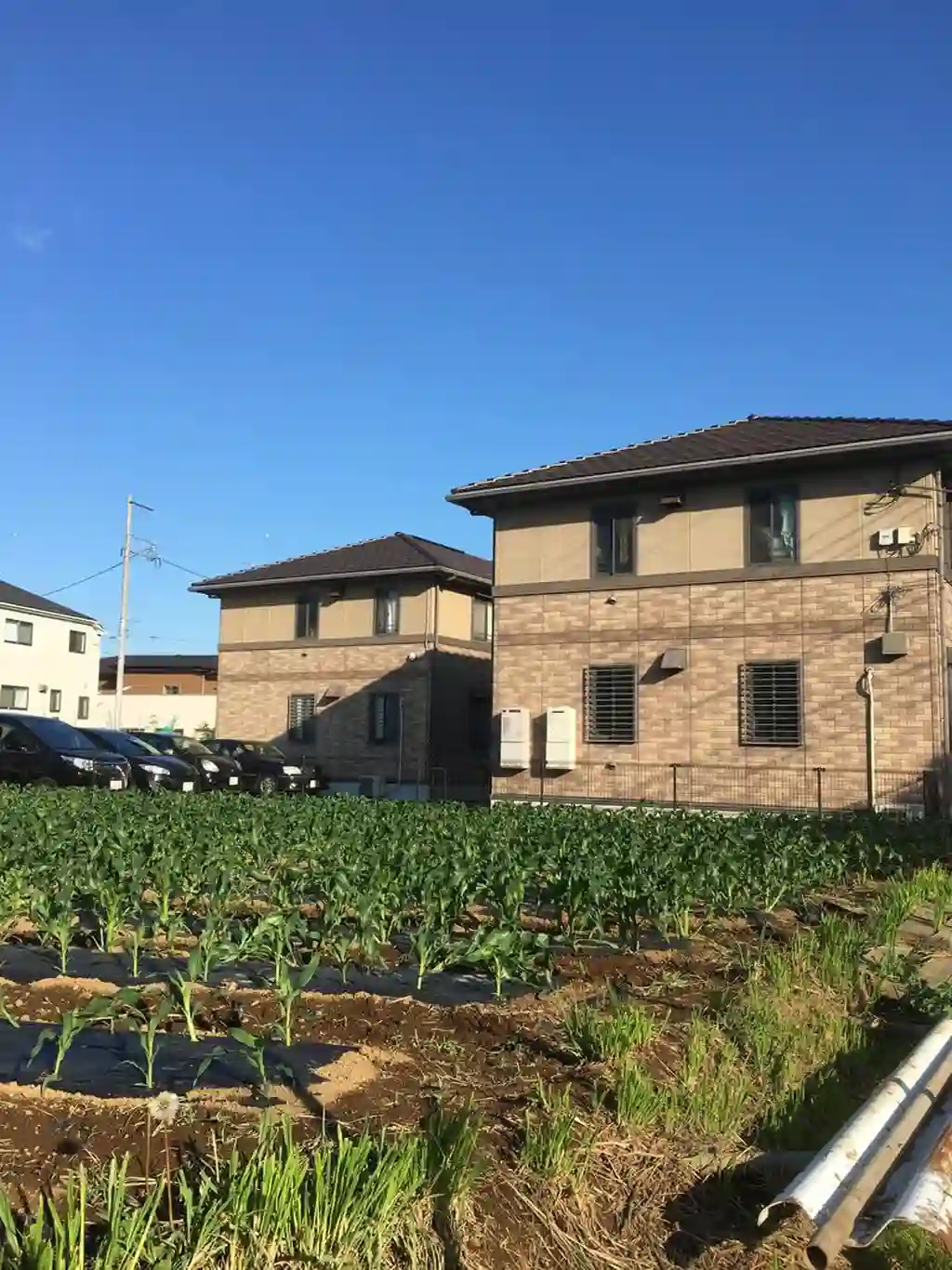 サンローズ鵠沼C 外観