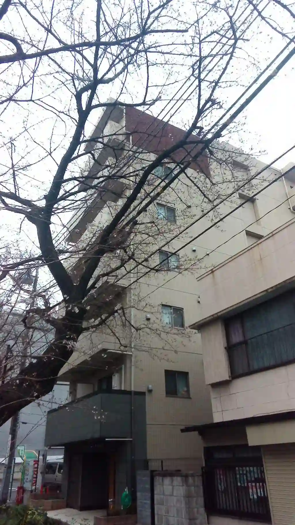 スカイコートヌーベル中村橋 外観