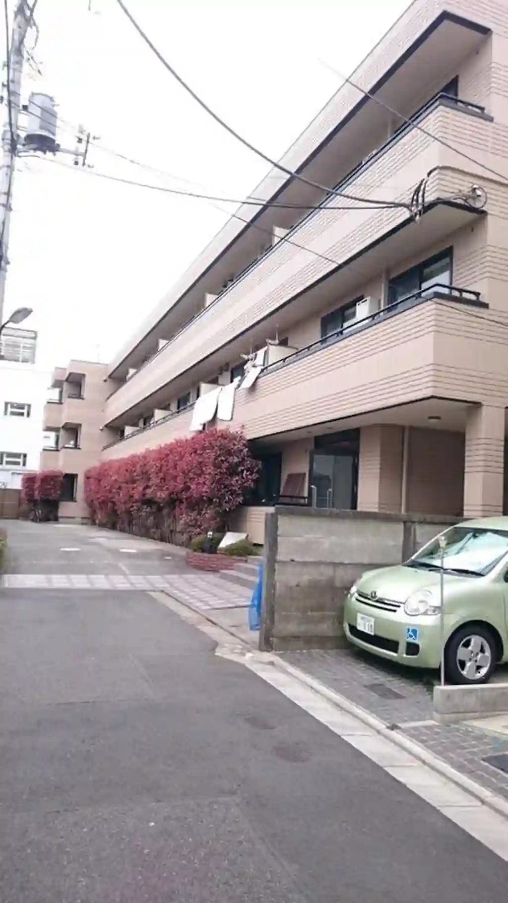 フラットマイヤー 外観