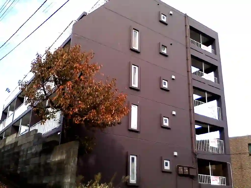 ドルフマチダ 外観