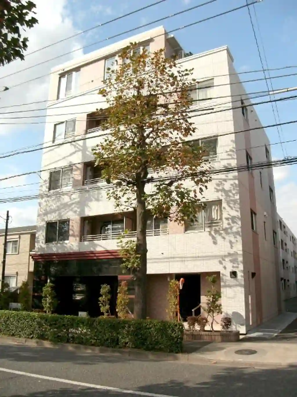RicoMii 外観