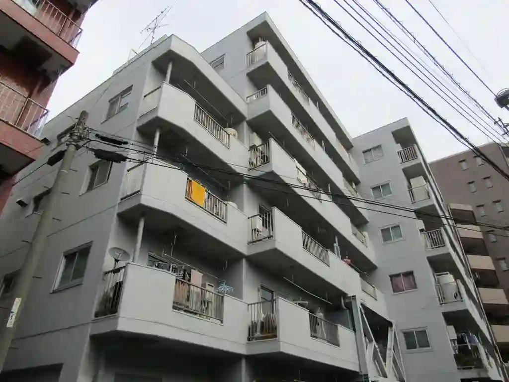ダイアパレス上池台 外観
