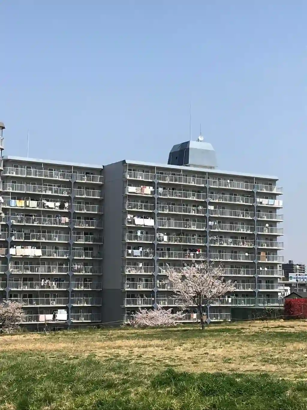グリーンビュー第3川口 外観